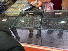 -刘艳明炒货(小心桥店)
