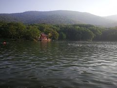 -紫霞湖公园