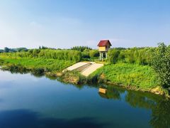 -东郊湿地公园