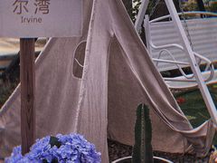 -安德鲁户外烧烤帐篷营地(马泉营店)