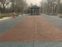 -绿堤公园