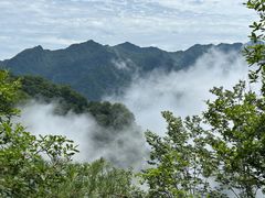 -陕西省红河谷森林公园