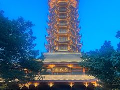 -塔子山公园