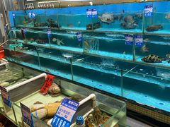 水产区-强记海鲜·大排档(蛇口新街店)