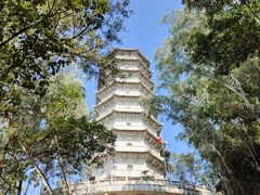 -深圳国际园林花卉博览园