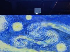 -天津梵高星空艺术馆(天河城旗舰店)