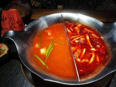 -湊湊火锅·茶憩(石家庄万象城店)