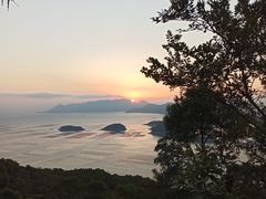 -花竹村