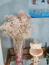 -法国安杰玛SPA会所