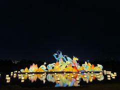 -武汉园博园(武汉自然博物馆)