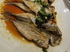 香豉巴浪鱼-稻香酒家(天河城店)