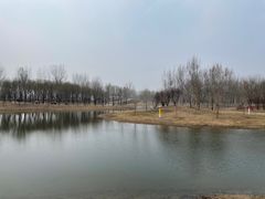 -东郊湿地公园