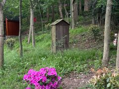 -上海佘山国家森林公园西佘山园