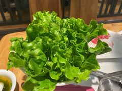 -颐辰舍岁岁羊(文昌万达景园店)