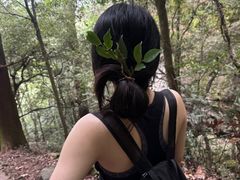 -天目山大树王景区