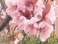 -小小班私人影院·猫咖(万达茂广场店)