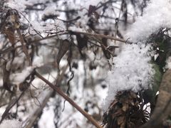 -太子岭滑雪场