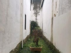 -龙泉青瓷博物馆