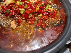 -探鱼·鲜青椒爽麻烤鱼(北京路天河城店)