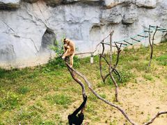 -杭州野生动物世界