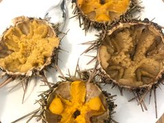 -海胆小馆(东北水饺·春柳店)