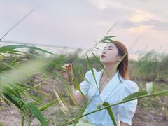 -合肥滨湖国家森林公园