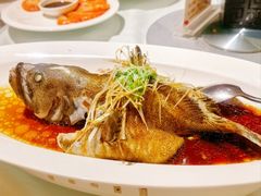 豆豉蒸鲟龙鱼-万龙洲海鲜(安定门店)