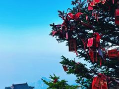 -泰山风景名胜区