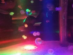 -邯郸海洋世界