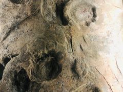 -湖南省地质博物馆