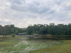 -长广溪湿地公园