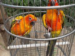 -南宫五洲植物乐园