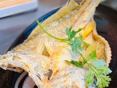 潮煎黄花鱼-潮界(虹桥新天地店)