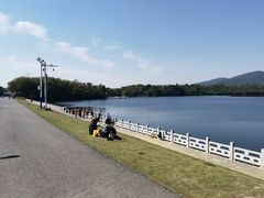 -佛手湖郊野公园