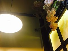 -金龙咖喱