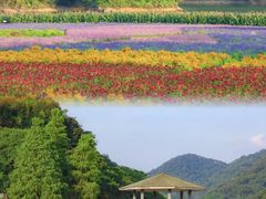 -广州市石门国家森林公园