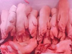 猪蹄-金宝生活市场(东五环店)