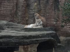 -杭州野生动物世界