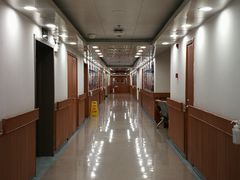 -上海市东方医院(总院)