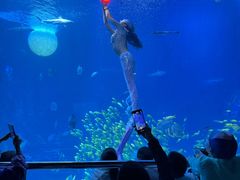 -太平洋海底世界