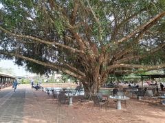 -侯臣咖啡文化村