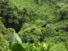 -海口火山口国家地质公园