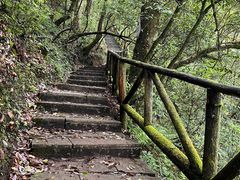 -龙苍沟森林公园
