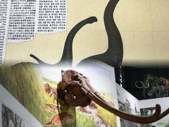 -中国西峡恐龙遗迹园
