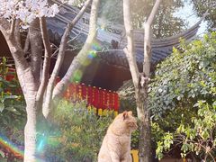 -龙华寺