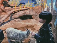 -苏州海洋馆