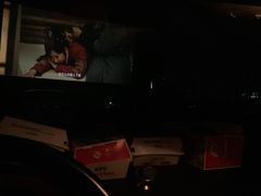 -枫花园汽车电影院(朝阳公园店)
