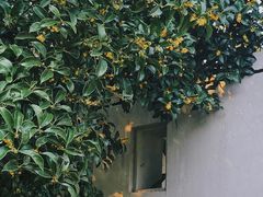 -无锡梅园公园