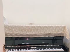 -星阑琴行(阳光天地店)