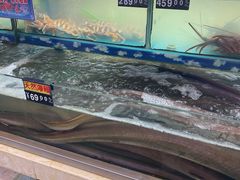 -乐在集市海鲜大排档(平潭店)